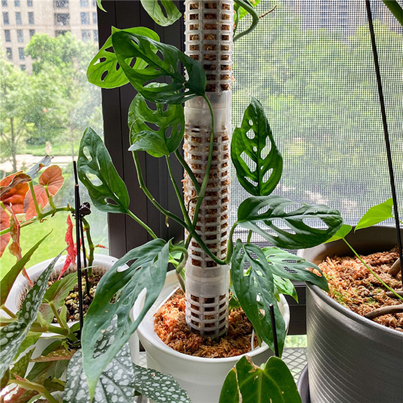Palo trepador de plantas, poste de planta esfagno, soporte para plantas, marco de enrejado, poste de columna de musgo de agua para escalada de enredaderas de flores en maceta