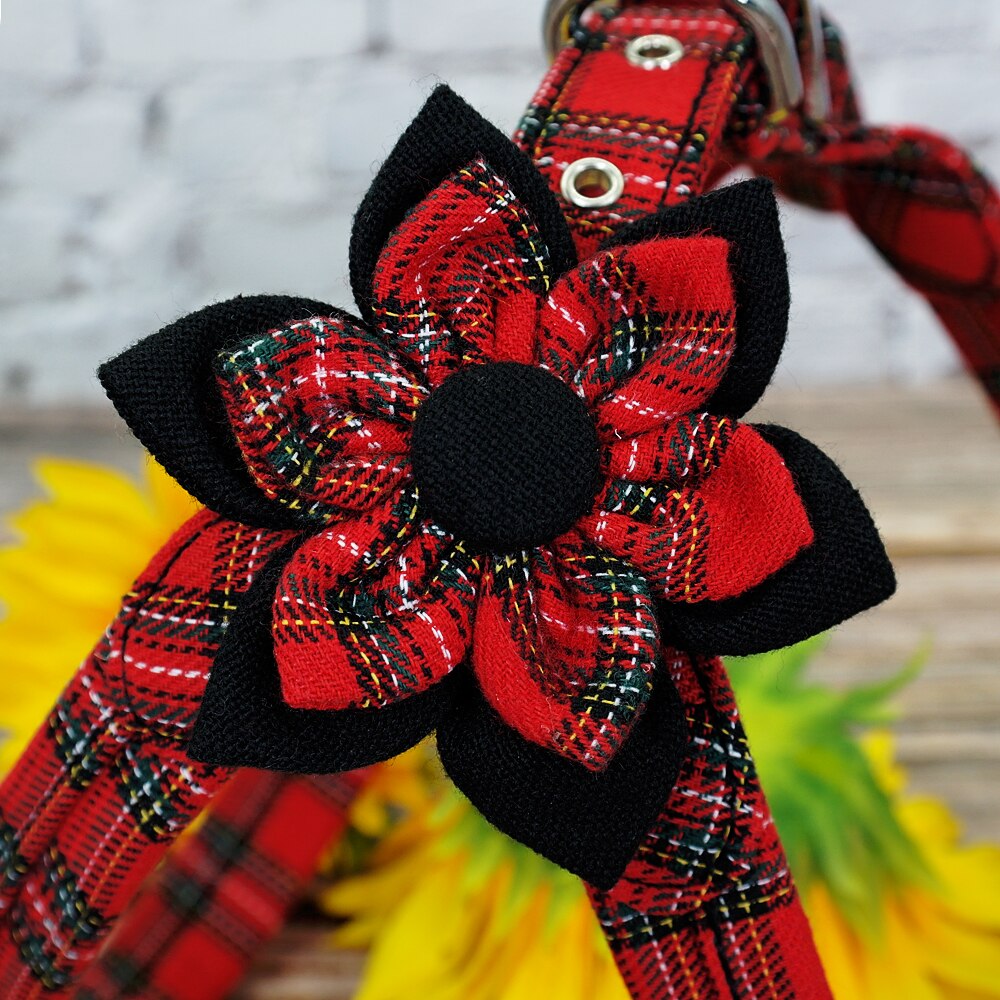 Harnais pour chiot, ensemble d'accessoires pour chiens, pour Chihuahua, pour animaux de compagnie, pour Chihuahua, gilet de marche, laisse, pour petits et moyens chiots, Pitbull