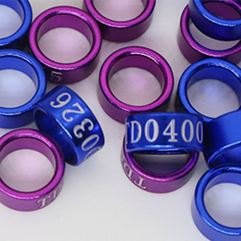 Anillos de Clip para pata de Paloma, accesorios para aves de corral, Paloma, pájaro, loro, banda para pie, suministros para palomas, 50 Uds.