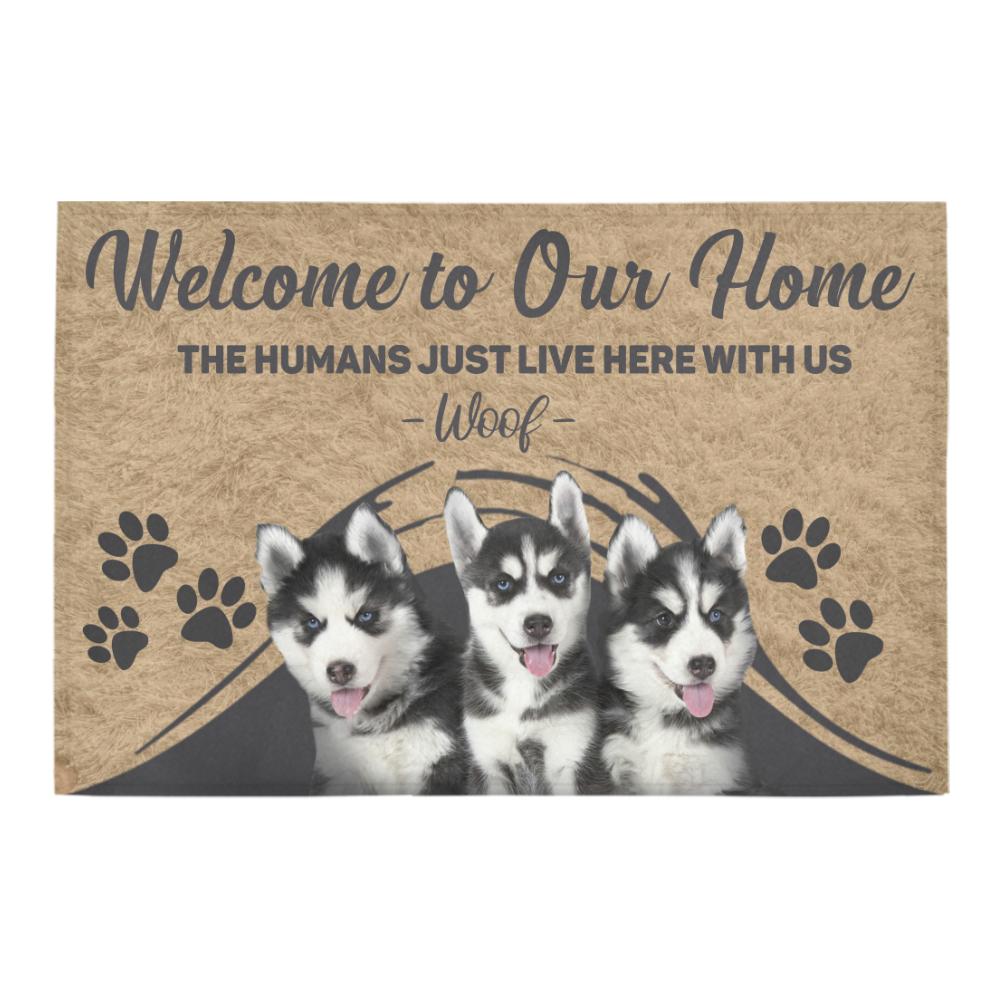 CLOOCL Sing You Song of My People Labrador Retriever Doormat Non-Slip Doormat Absorbent Carpet for Bedroom Porch Welcome Mat: Doormat 11