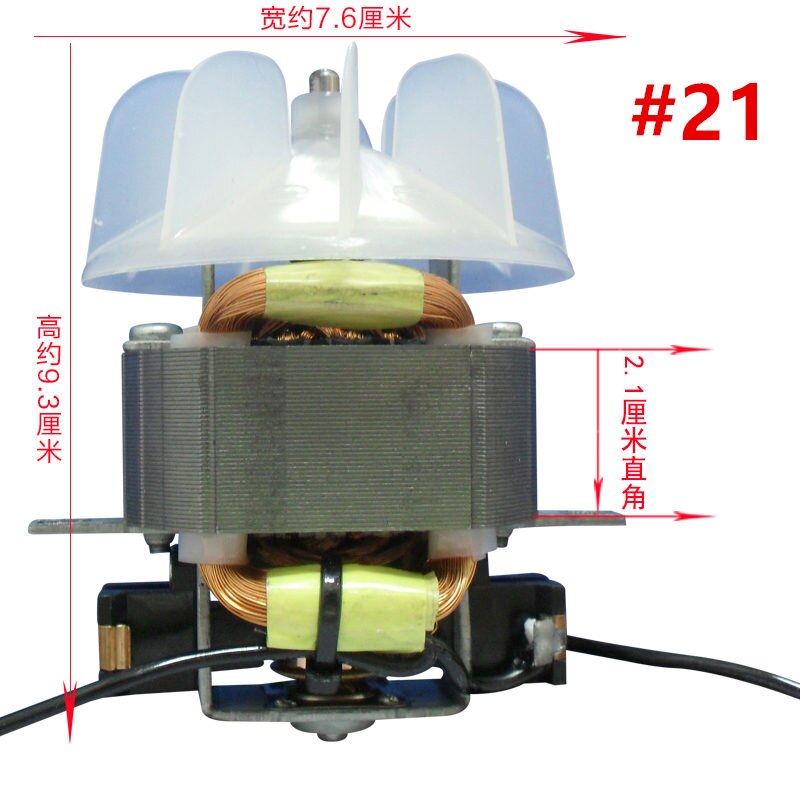Föhn Onderdelen Voor Kapsalon Professionele High Power Föhn Motor #13 #15 #17 #21 motor Met Ventilator Blad 220V 1800-2100W: 21