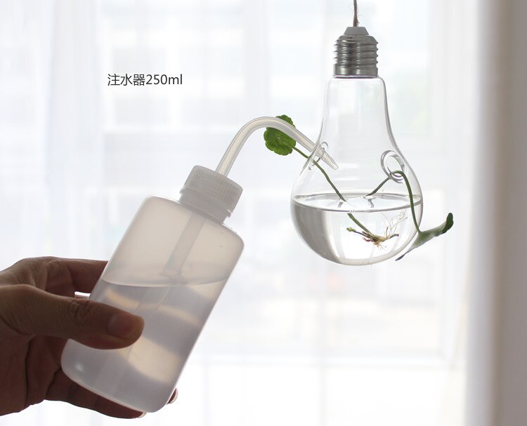 Desk Glass Flower Vase Terrarium Fish Tank Aquarium Container Transparent Flower Planter Pots Home Garden Decoration: R