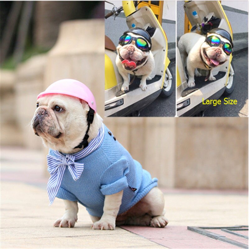Kek – casque en plastique pour chien, pour moto, avec lunettes de soleil, Cool, ABS, , chapeau de protection pour animaux de compagnie, casquette d&#39;équitation,