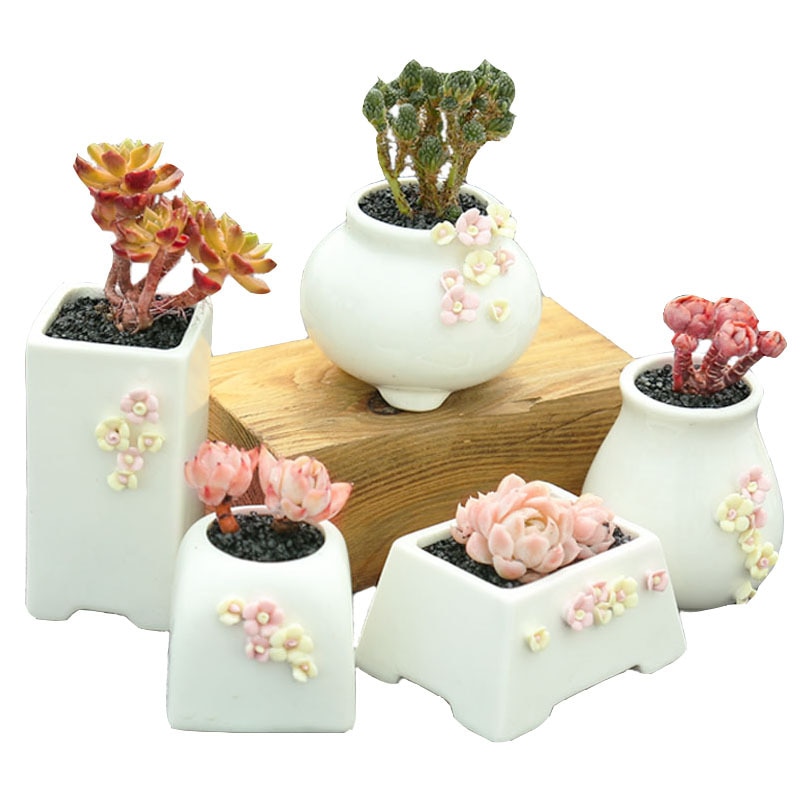 Succulent Bloempot Keramische Combinatie Set Kleine Verse Speciale Vlezige Plant Pot