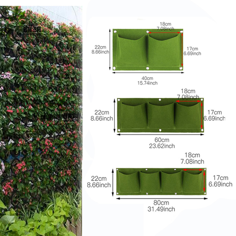 Vegg hengende plante poser lommer grønn vokse bag planter vertikal hage grønnsak levende bonsai bag blomst hjem forsyning