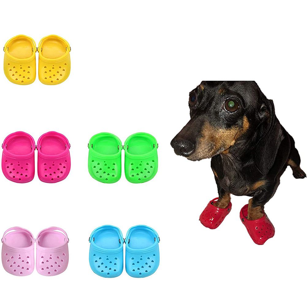 Chaussures d&#39;été pour chien, pantoufles ajourées, tongs de plage décontractées, respirantes, à enfiler, sandales pour petit chien