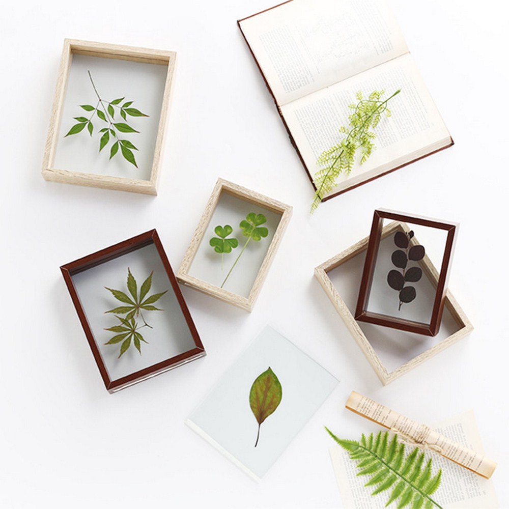 4/7/8/10 Inch Solid Wood Photo Frame Double-sided Glass Plant Specimen Frame Square Photo Frame DIY Specimen Decoration