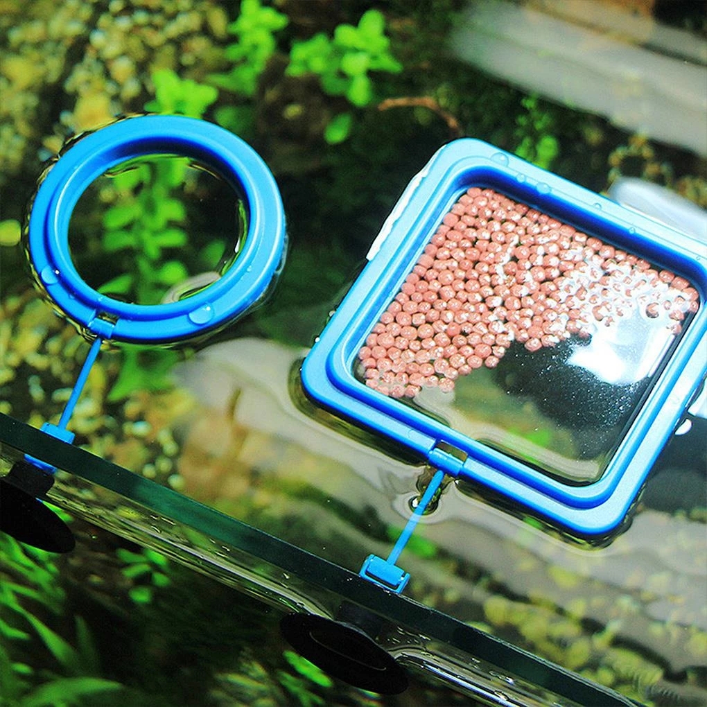 Floating Food Tray Feeder Square Circle Accessory Fish Food Feeder Suction Cup black Aquarium Feeding Ring Fish Tank Station