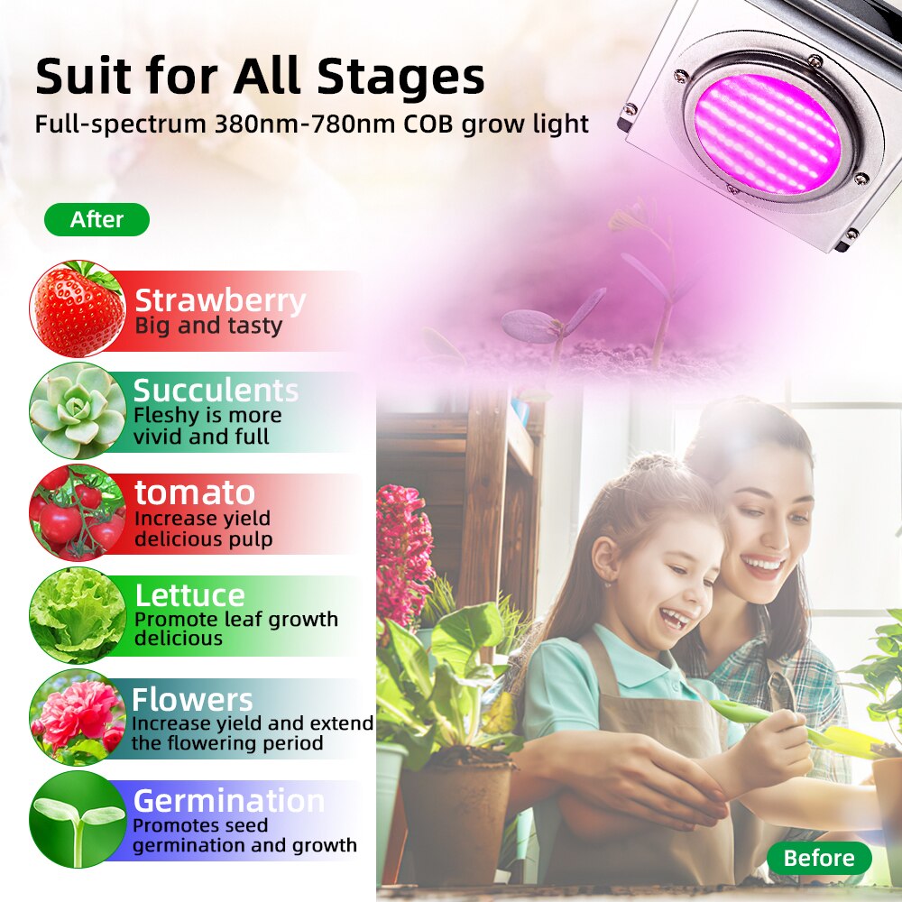 Full Spectrum Hydroponic COB Growth Light High Luminous Efficiency LED Grow Light For Greenhouse Vegetables Succulent