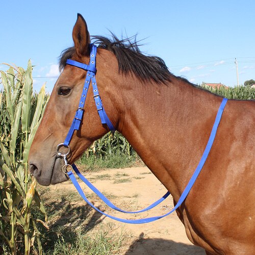 Shuiller redini bocca ferro cavallo mastica Kit imbracatura per cavalli dimensioni cavallino: Blue  below 1.2 m