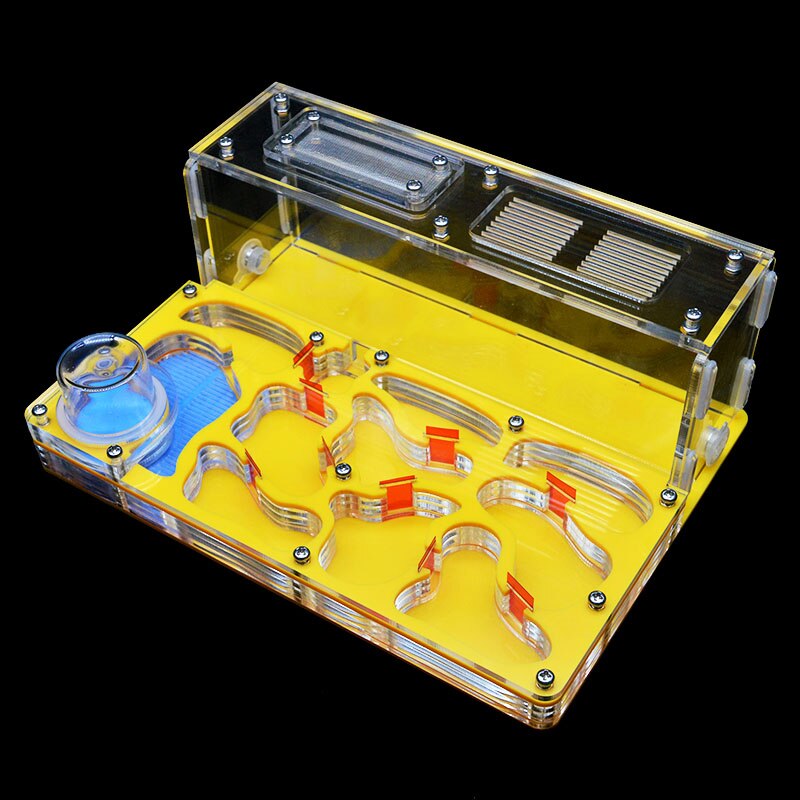 Diy akrylmyrbo stort stor myrgård med utfodringsområde stort myrahus för myrstack med verkstadslott 15*20*7.5cm: Gul