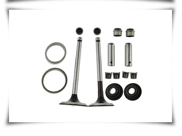 170F 173F 178F 186F 186FA 188F Diesel engine Parts Valve assembly Valve kit Kaima Changchai micro tiller generator accessories