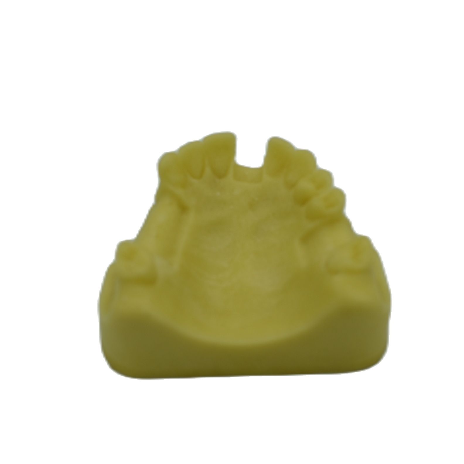 1PCS Dental Mandibular Demonstration Oral Model Implant Practice Maxillary Sinus Teaching Model Soft Gum Training Teeth model: S