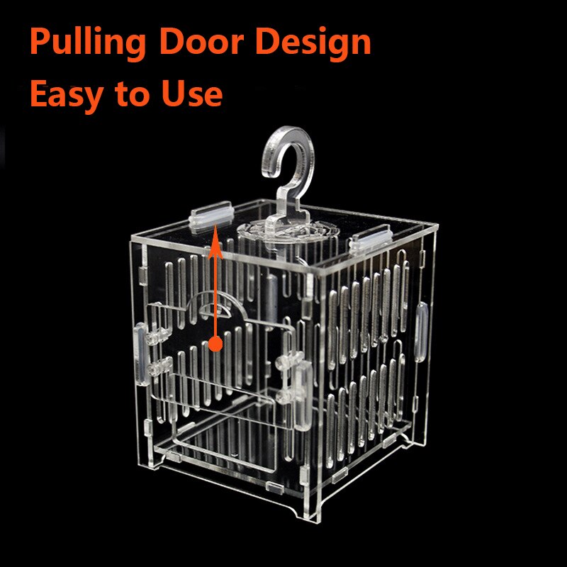 Acrylic Cricket Grasshopper Cage Reptile Insect Nest