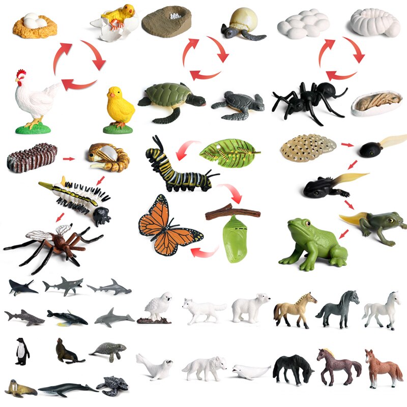 Simulation Insect Animal Model Figures Mini Butterfly Frog Mosquito Ocean Whale Animal Poultry PVC Figures Dolsl Toys