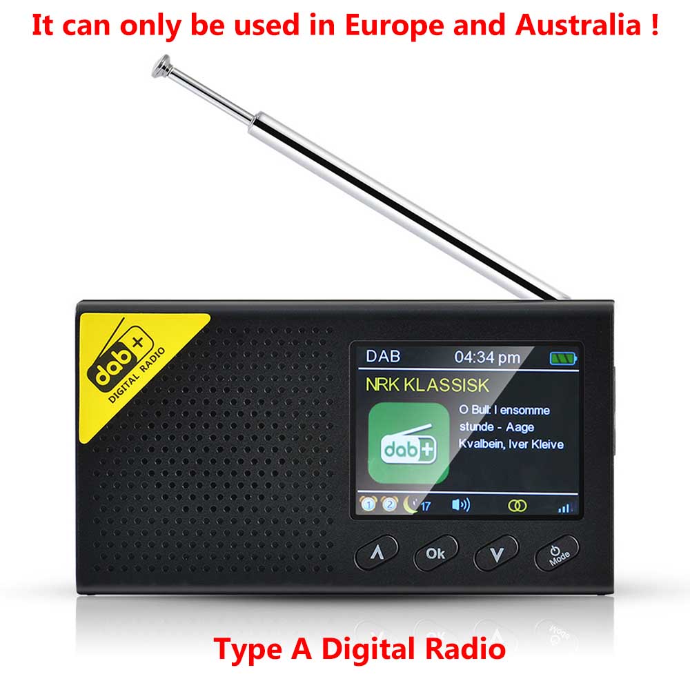 Draagbare Lcd-scherm Bluetooth Digitale Radio Dab/Dab + Fm Ontvanger Audio Broadcasting Speler Stereo Uitgang Voor Home Office: Type A Digital Radio