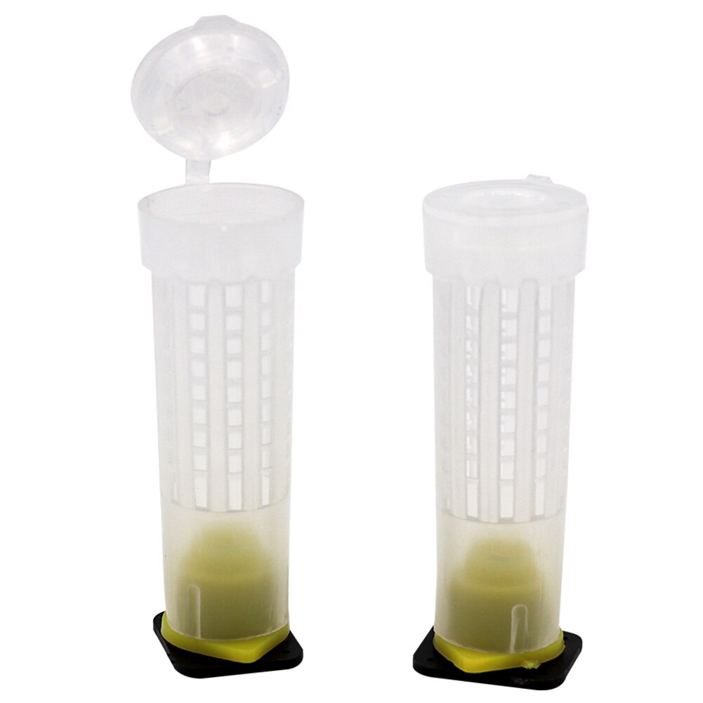 20/50/100 stk biavl opdræt kop kit dronning bi hår rullebure plast bi celle kopper biavl værktøj udstyr sæt