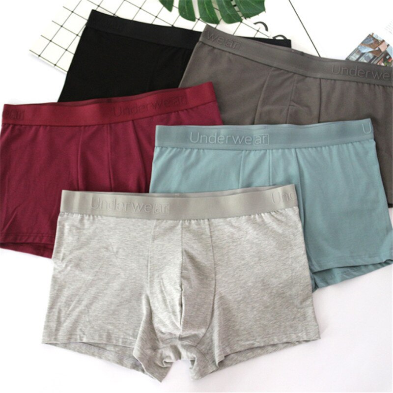 5pcs High Density Mens Cotton and Modal Underpants Durable and Washable Underwear Factory: XXL