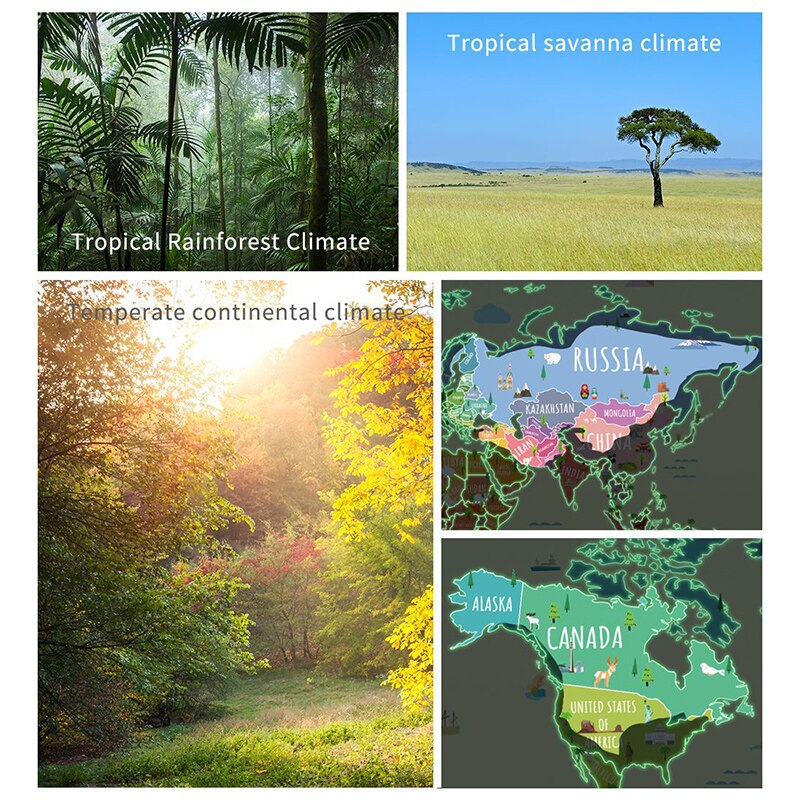 Luminous World Maps for Wall Removable Adhesive Wall Stickers for Kids Nursery Bedroom Living Room Wall Arts Decor FP8