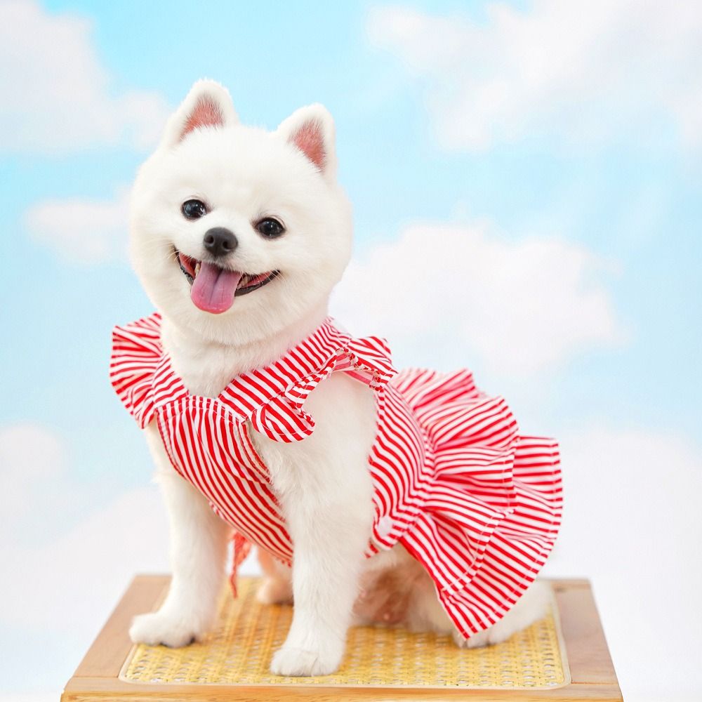 Vestiti per animali domestici con maniche volanti alla moda, gonna da principessa per gatti morbidi e carini, gilet estivo traspirante per cani per gatti cuccioli
