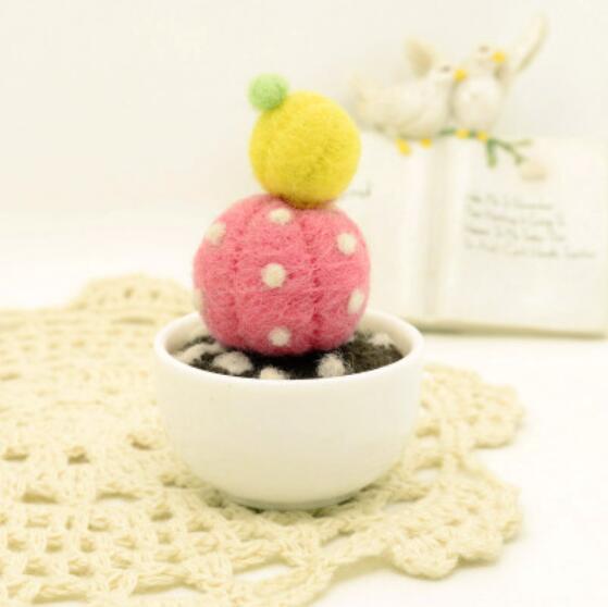 Cactus vlezige plant mini-pot wolvilt wollen borduurset wolvilt naaldvilten decoratie knutselen handwerk diy: C