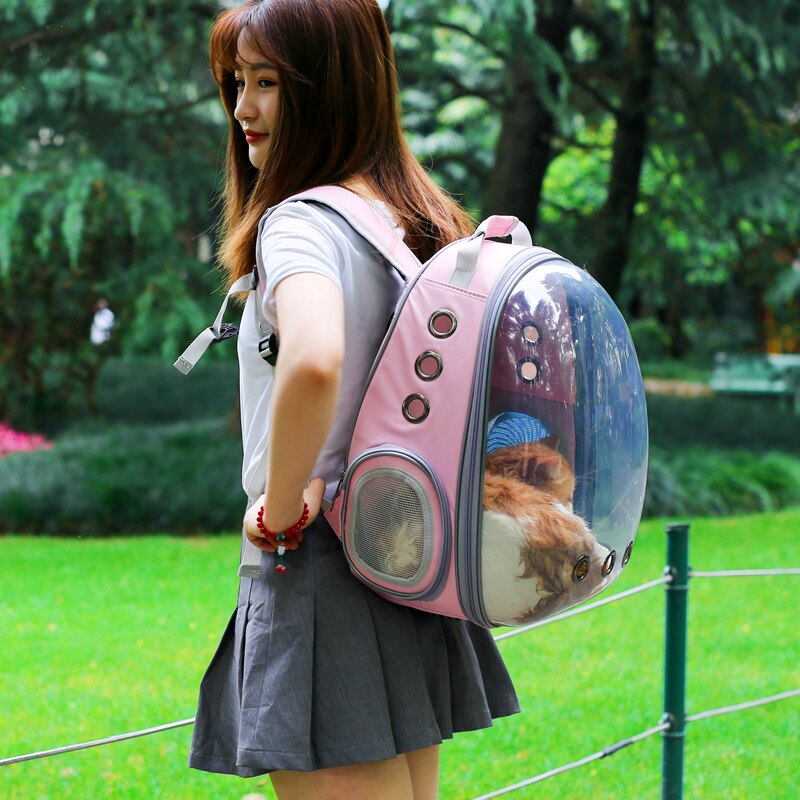 Sac à dos Portable respirant pour chat et chien, Transparent, pour voyage en plein air, pour animaux de compagnie, WJ829
