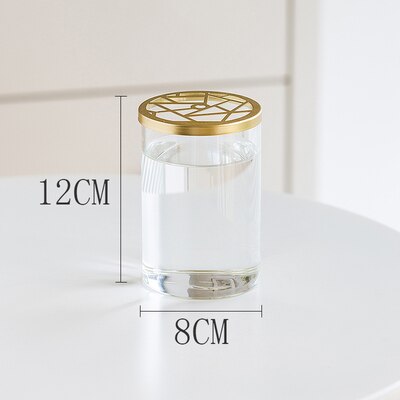 Nordic Transparent Glass Vase Golden Grid Cover Living Room Flower Arrangement Ikebana Decoration Desktop Hydroponic Plants Tool: H