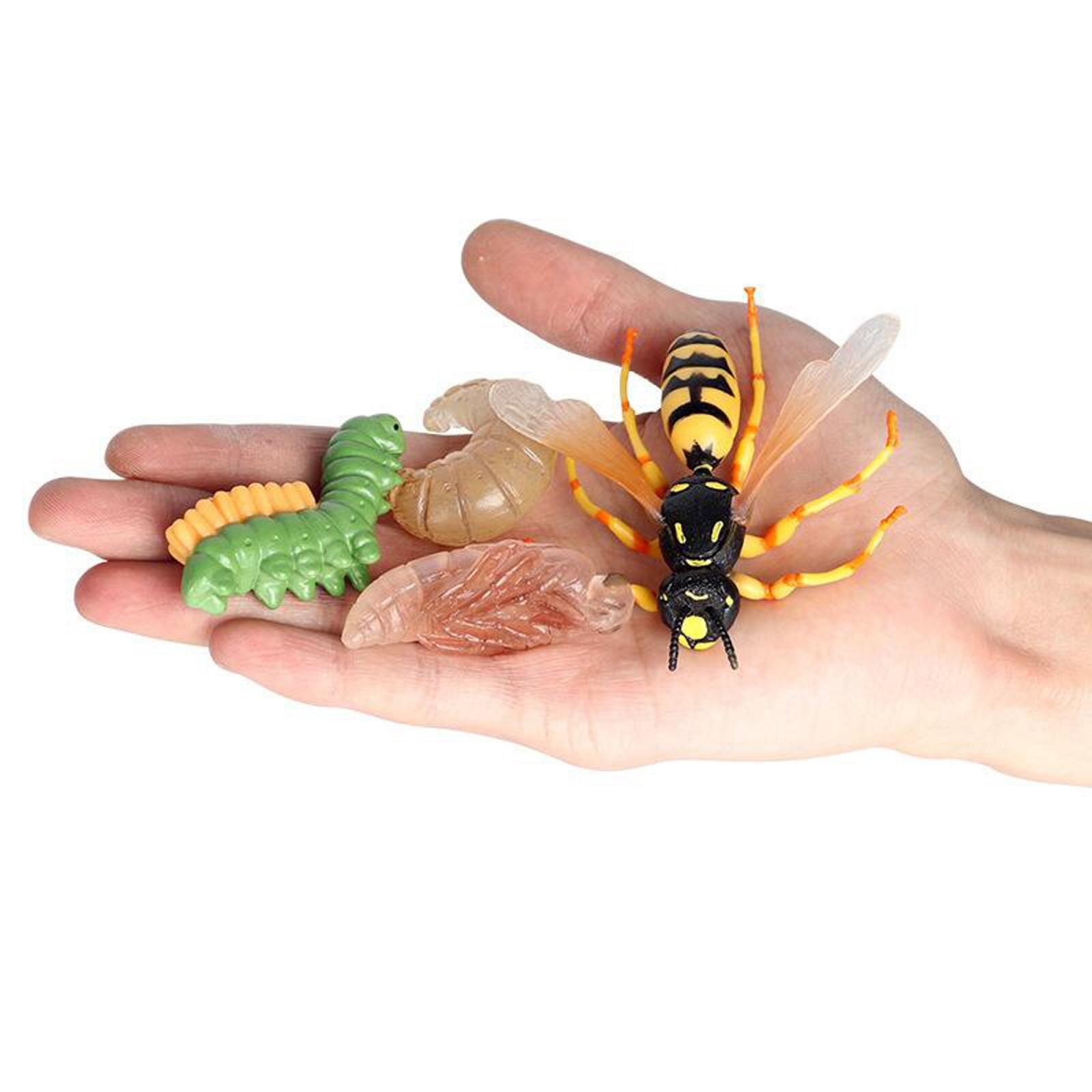 4 Stuk Levenscyclus Cijfers, Insecten Plastic Wesp Speelgoed Figuur-Authentieke Hand Painted Model