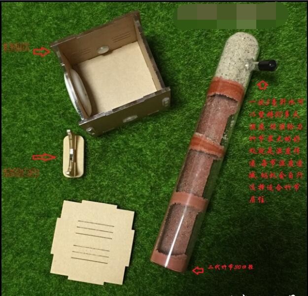 Neue Bambus Ameise Nest Haustier Ameise Acryl Heimat Werkstatt freundlicher Eductional DIY Spielzeug Wissenschaftliche Beobachtung Gerät Spielzeug 20-25-30MM: 3Bambus Sektion 25mm