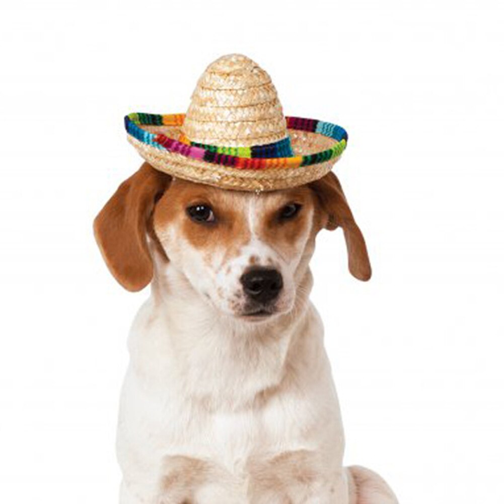 Verjaardag Decoratie Mexicaanse Stijl Duurzaam Speelgoed Milieuvriendelijke Hond Cap Desktop Kleurrijke Randen Mini Stro Hoeden Partij Accessoire