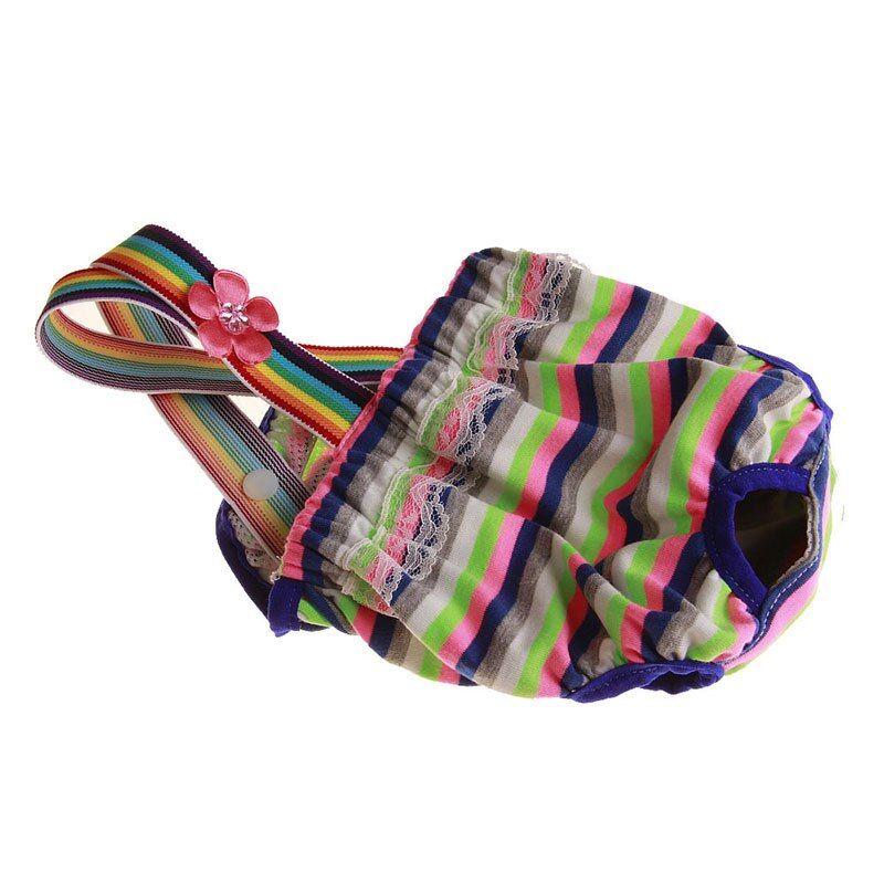Culotte physiologique arc-en-ciel pour chiens, sous-vêtement respirant en coton, protection pour animaux De compagnie: grey2 / XS