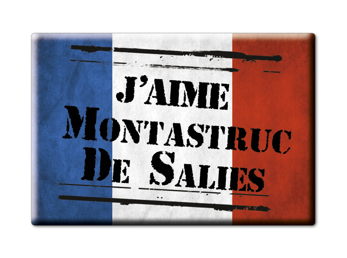 MONTASTRUC DE SALIES CALAMITA MAGNETE BOURGOGNE (31) FRANCIA frigo magnete souvenir I amore regalo: VETERAN
