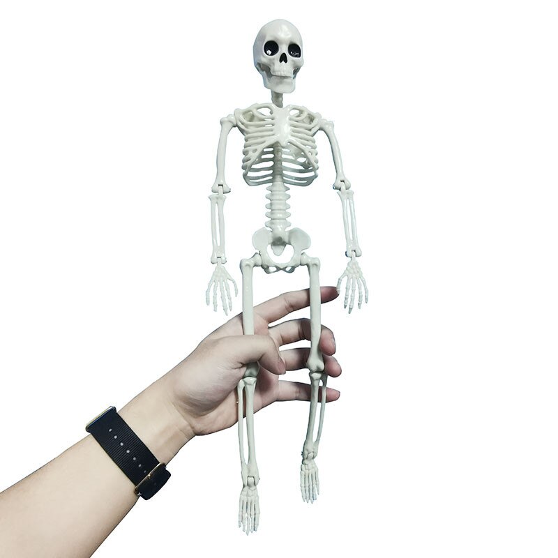 Esqueleto movible de plástico humano para laboratorio de estudiantes, modelo Dpoof Props, ornamento Retro, decoración, accesorios de Halloween de 40cm de altura