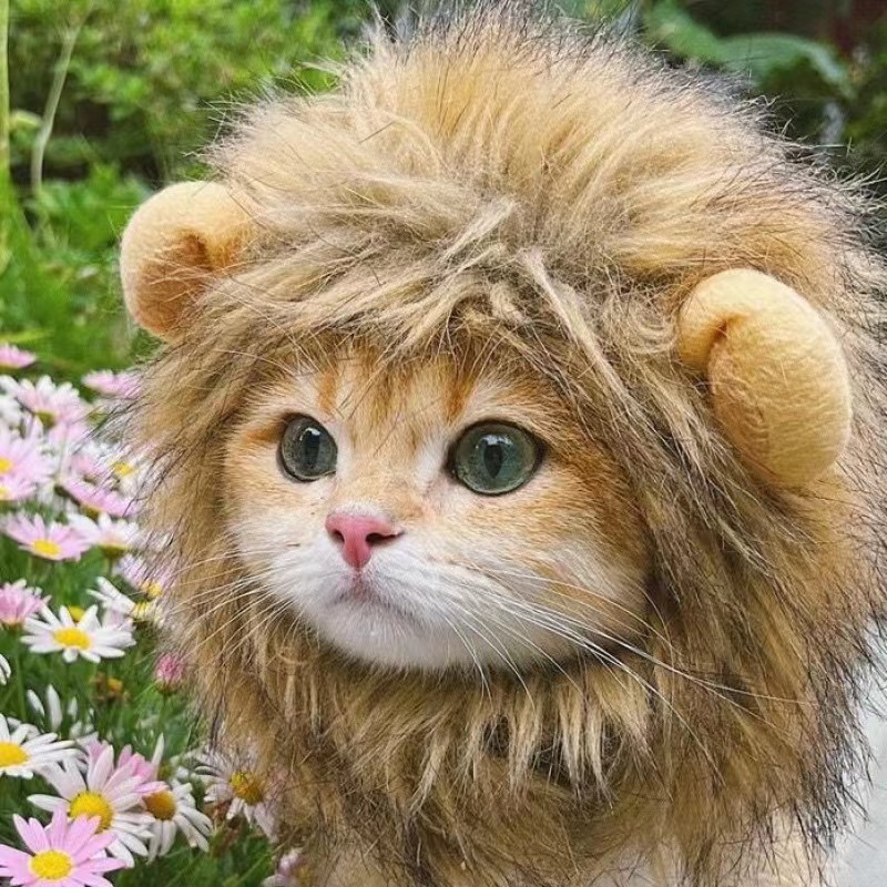 Leuke Grappige Huisdieren Kleding Cap Leuke Kat Pruik Lion Manen Kostuum Cosplay Kitten Hond Hoed met Oren Fancy Feestartikelen