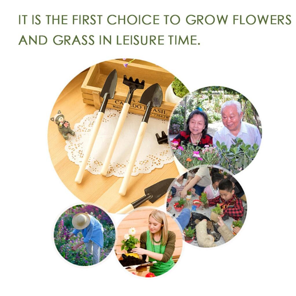 3 Pcs/set Small Transplant Hand Tool For Multi-Functional Indoor Gardening Plant Care Handle Plant Soil Shovels Gardening Tools