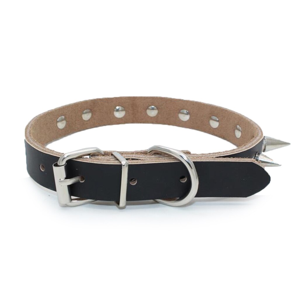 Met spikes versierde kleine grote kattenhalsband met klinknagels, hondenhalsband voor kittens, leren halsband voor pitbull en bullcat.