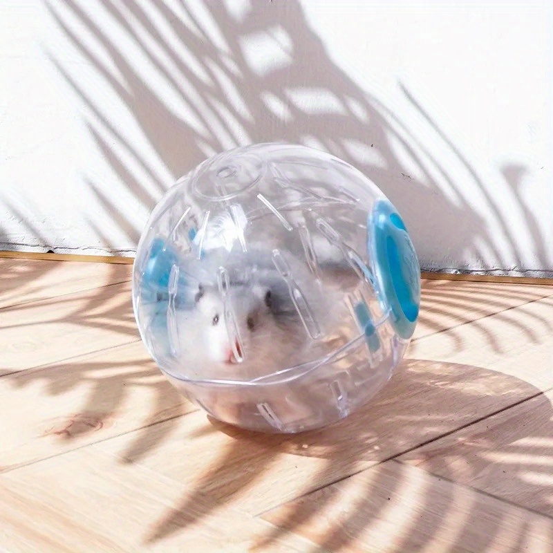 Kunststoff Outdoor Sport Ball Grounder Ratte Kleine Haustier Mäuse Jogging Ball Spielzeug Hamster Rennsport Übung Ball Spielen Spielzeug Kleine Haustier Liefert