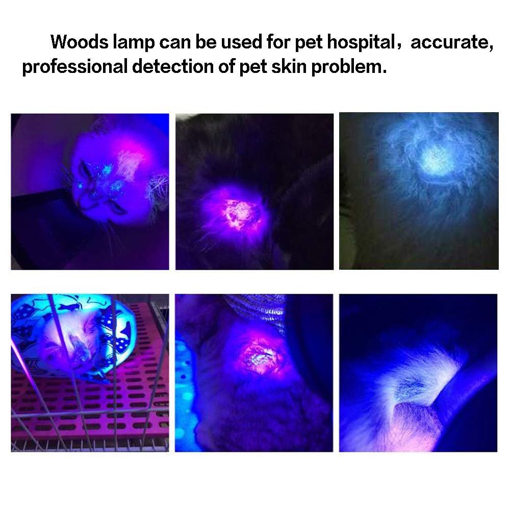Appareil de Diagnostic de la peau du visage, analyseur UV de la peau, lampe en bois, Machine de Test de beauté