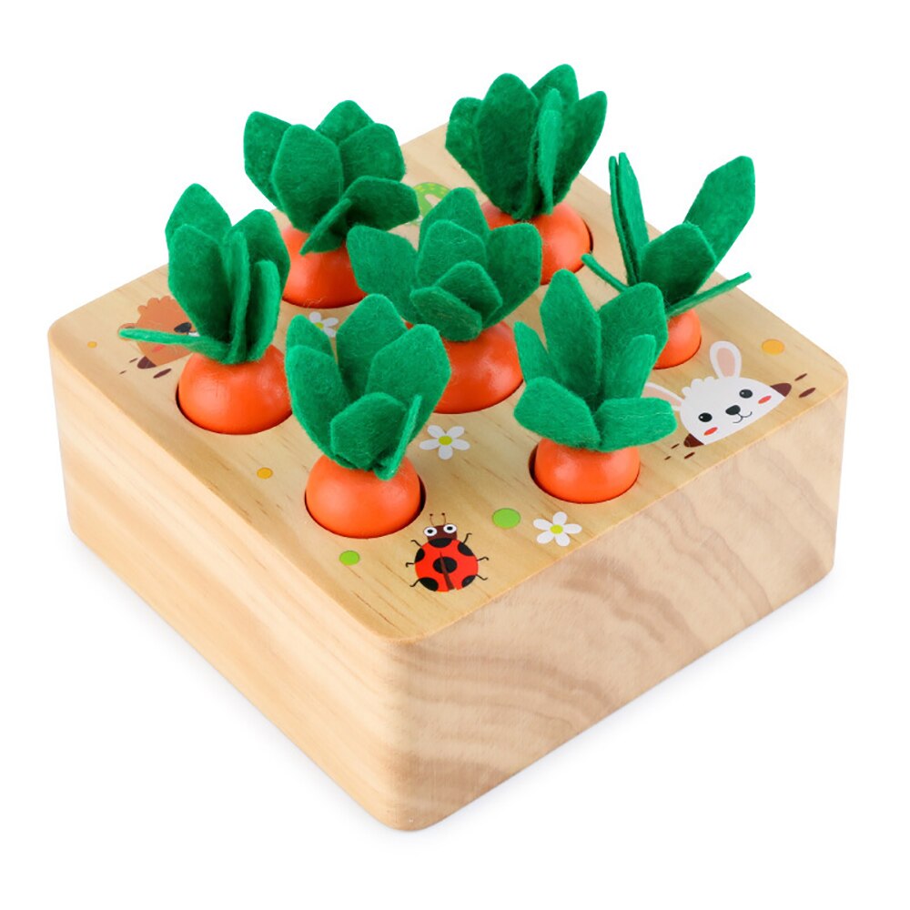 Giocattoli Montessori giocattoli magnetici in legno di Apple Cognize giocattoli educativi per bambini giocattoli per bambini Worm Eat Apple Montessori Materiales: WT304