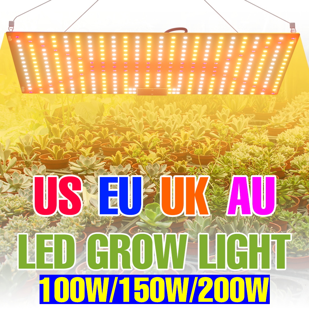 200W LED pełne spektrum światła do uprawy tablica kwantowa roślina lampa UV kryty sadzonka kwiatów hydroponiczna szklarnia uprawa warzyw