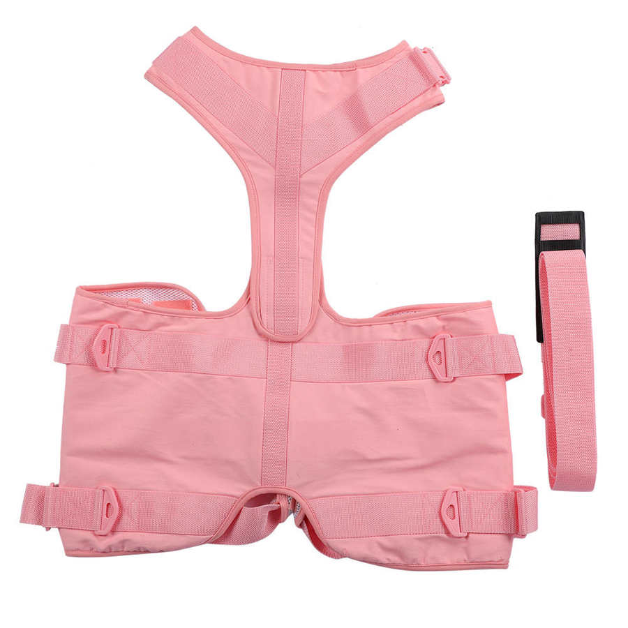 Adjustable Pet Dog Chest Strap Walking Control Harness Mesh Vest Leash