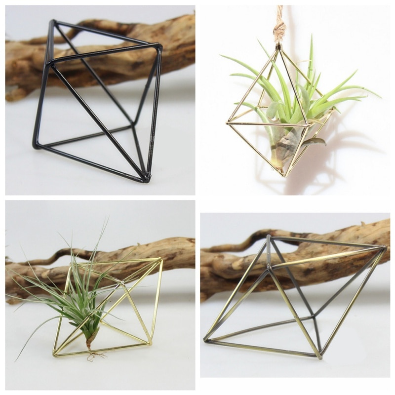 Lot De 4 Supports Pour Tillandsias – Design Géométrique En Métal – Noir – 10 X 6 X 6 Cm