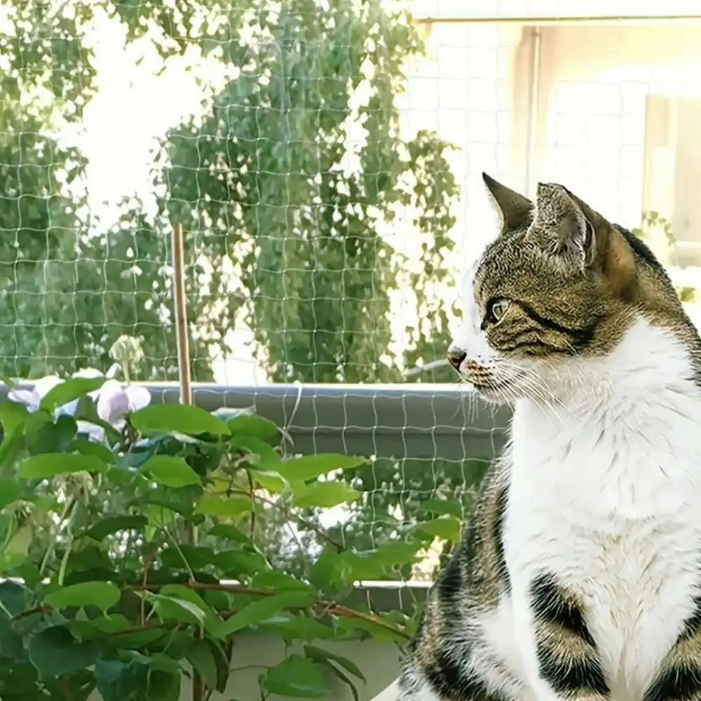 1 Stück, Vogelschutznetz, feinmaschiges Vogelnetz, Katzennetz für Balkone ohne Bohren, Blattnetz für feinmaschiges Teichabdeckungsnetz