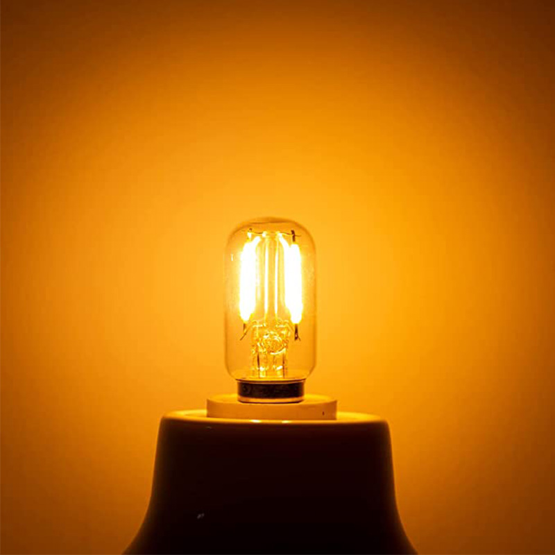 Genixgreen DC AC 12V 24V E14 LED-Birne T22 1W Niederspannungs-Rohrglühlampe E12 Kandelaber LED-Lampe RV Lokomotive Raumbeleuchtung