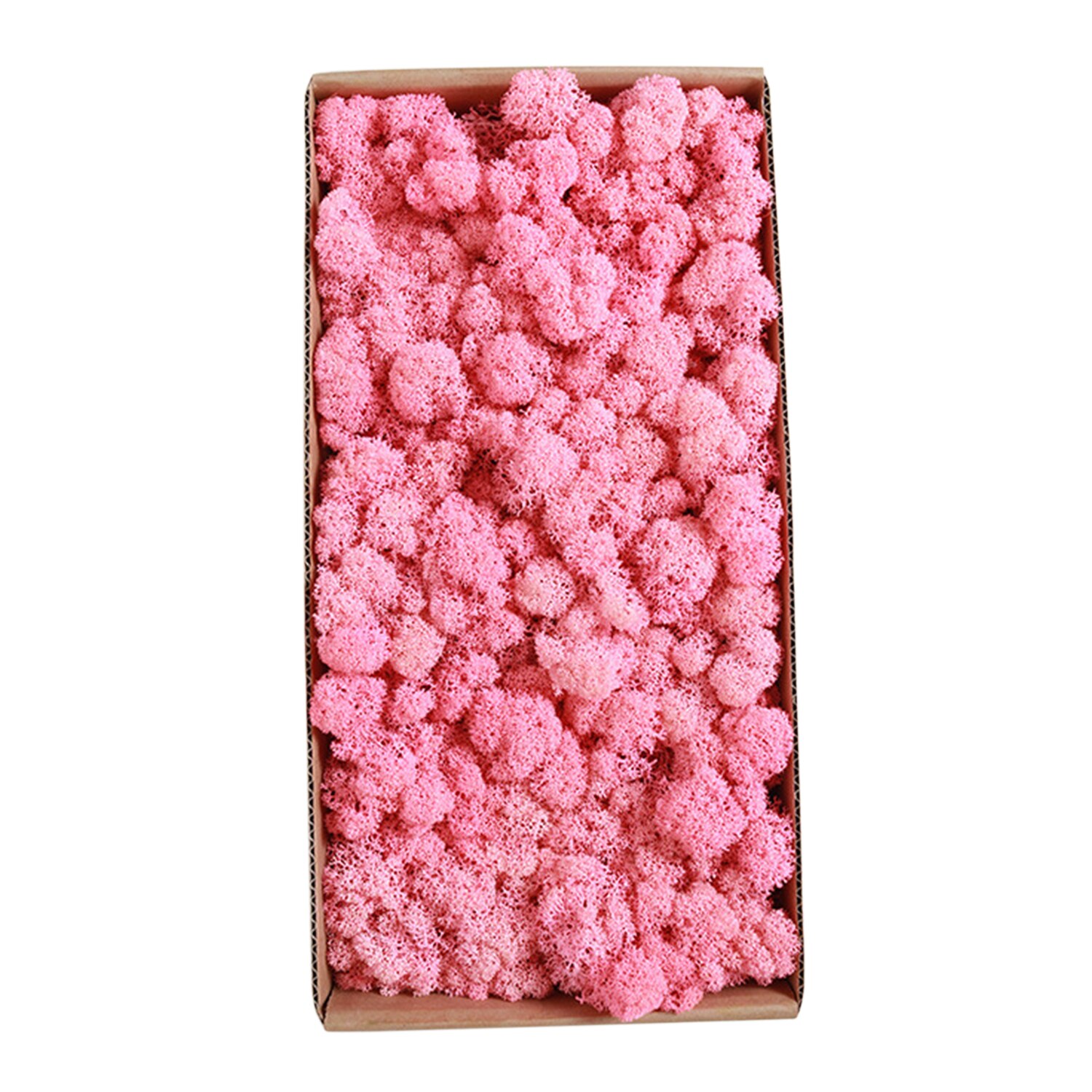 Preserved Moss Wall Decor Real Preserved Moss No Maintenance Required Naturally Preserved Moss Home Wall Party Festivals Crafts