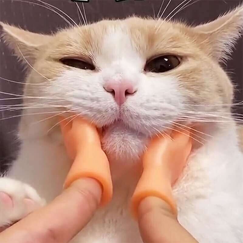 Guantes de dedo pequeño de juguete de masaje, mano humana falsa para gato, accesorios de broma