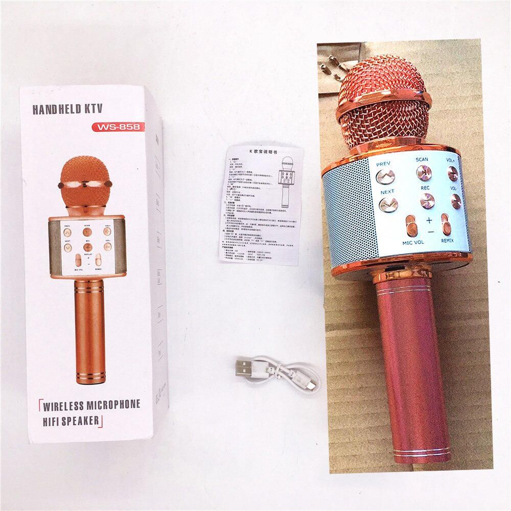 Bluetooth Handheld Karaoke Speaker Player Machine for Kids Adults Home KTV Party for Android/Iphone/Ipad/Pc Girl Boy (Blue): T1-rose