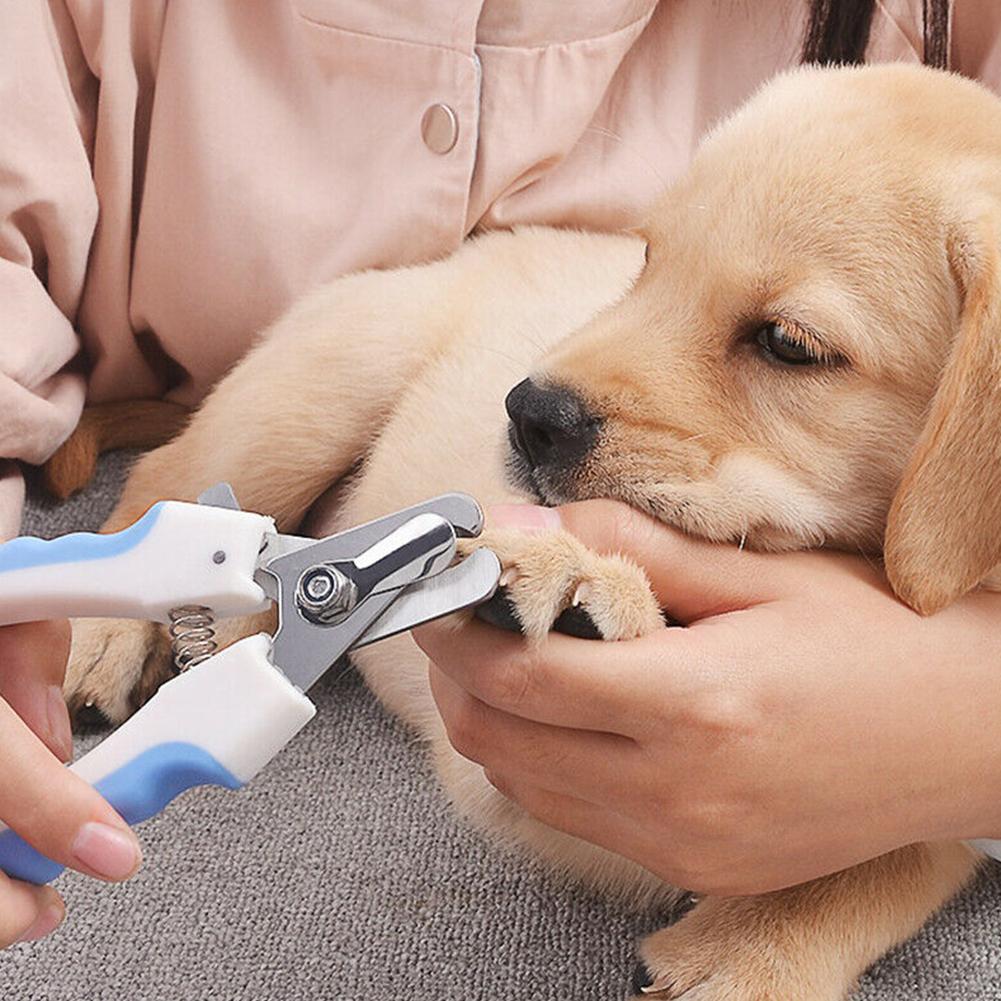 Tijeras para cortar uñas de mascotas, para perros y gatos, Tijeras para uñas del pie, recortador, herramientas de aseo para animales, suministros para mascotas