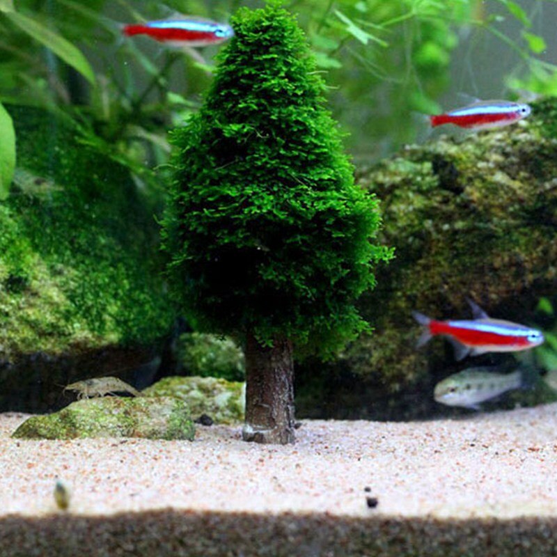 Simulatie Xmas Moss Kerst Moss Boom Plant Grow Aquarium Tank Decor Landschap Fish Tank Aquarium Decoratie ornament