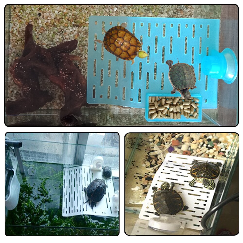 Schildkröte Schwimm Aalen Terrasse Schwimm Insel Schildkröte Klettern Leiter Aquarium Saug Acryl Bord für Reptil Spielen Rest